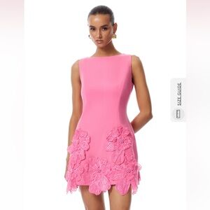 Fleurine Hot Pink Floral Appliqué Mini Dress